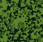 (1360) Camouflage - Skov